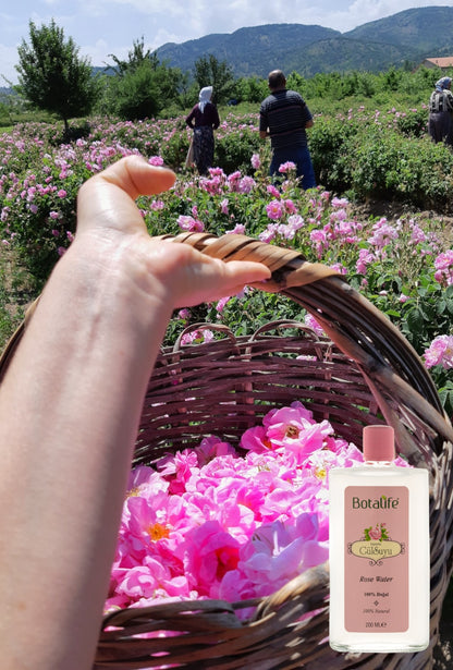 Botalife Natural Rose Water (200ml Glass Bottle)